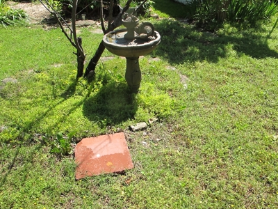 41886 - image 40
