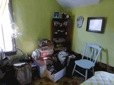 42213 - image 12
