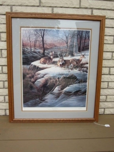 42553 - image 42
