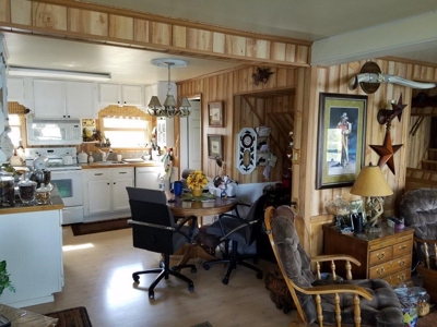 43583 - image 1