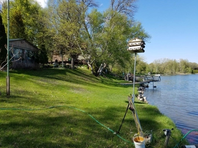 43632 - image 32