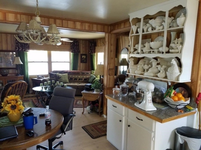 43587 - image 4
