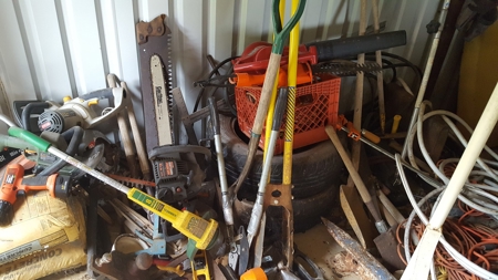 44914 - image 46