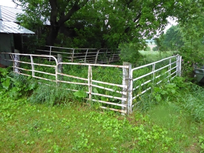 48936 - image 58