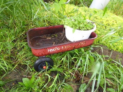 48942 - image 64