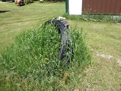 49766 - image 60