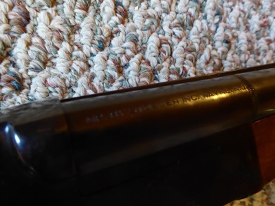 49881 - image 175