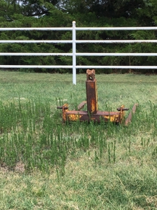53342 - image 20