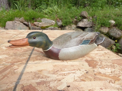 53494 - image 43