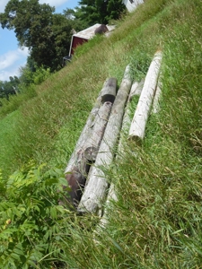 54969 - image 7
