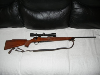 55309 - image 41
