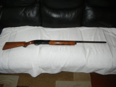 55314 - image 46