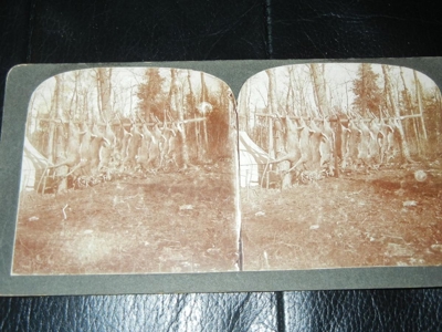 57972 - image 64