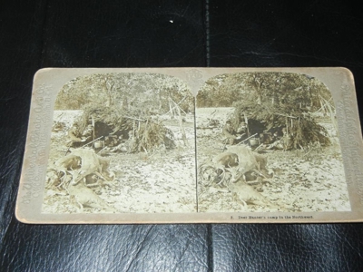 57969 - image 61