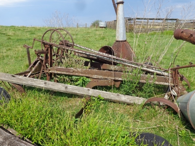 59455 - image 2