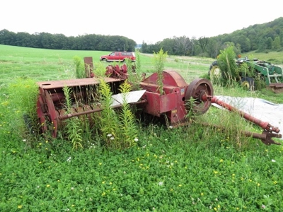 59594 - image 3