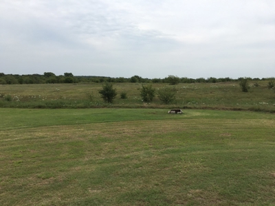 59806 - image 11