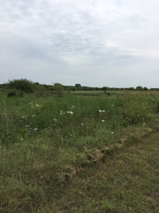 59801 - image 6