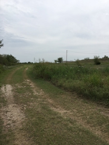 59799 - image 4