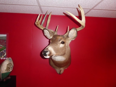 61807 - image 7