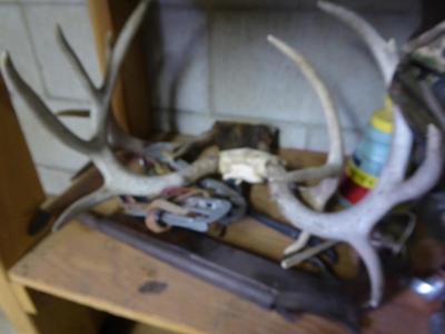 61903 - image 3