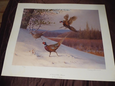 80664 - image 46