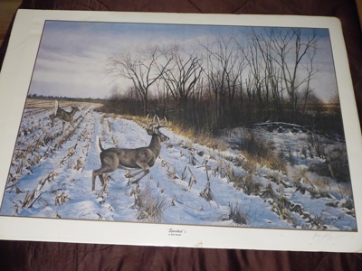 80676 - image 58