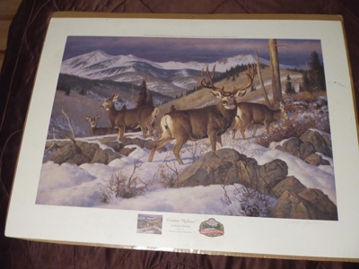 80661 - image 43