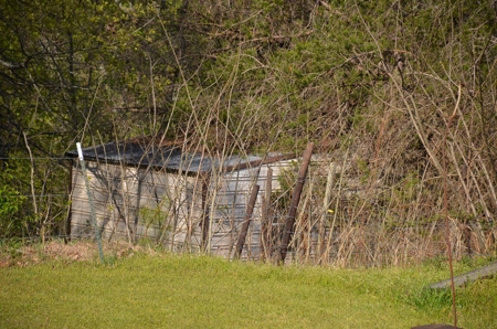 109594 - image 98