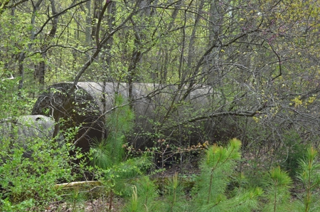 109613 - image 106