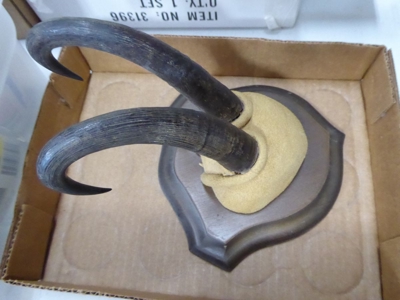 118475 - image 33