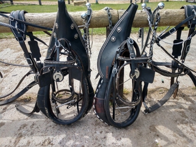 184677 - image 3