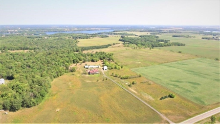 184795 - image 5
