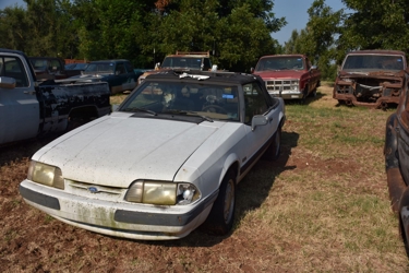 alt=