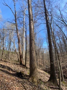 204664 - image 17
