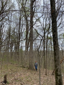 204650 - image 3