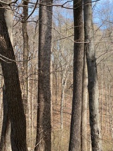 204674 - image 27
