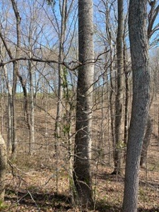 204670 - image 23