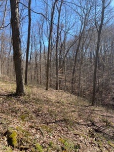 204657 - image 10