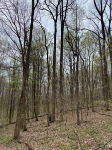 204654 - image 7