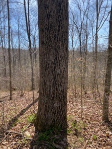 204681 - image 34