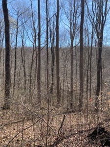 204677 - image 30