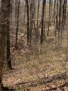 204661 - image 14