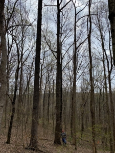 204653 - image 6