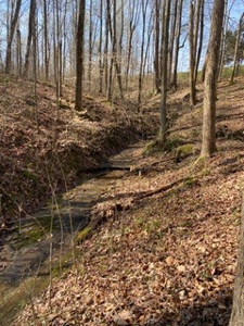 204663 - image 16