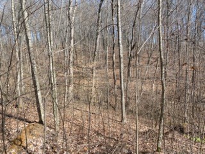 204679 - image 32
