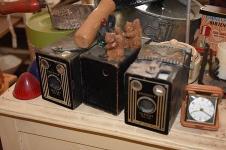 220491 - image 5