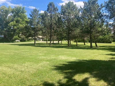 238800 - image 3