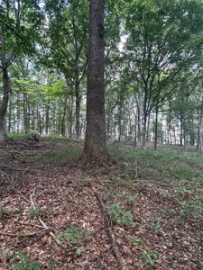 241424 - image 7